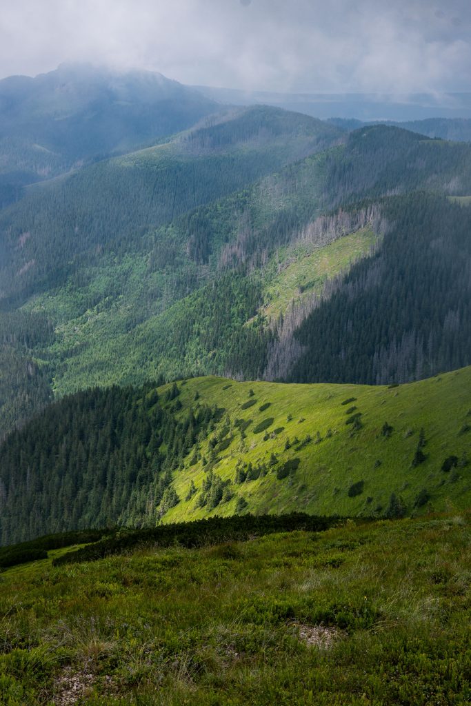 Scenic view of verdant mountains in Tatra National Park during summer.